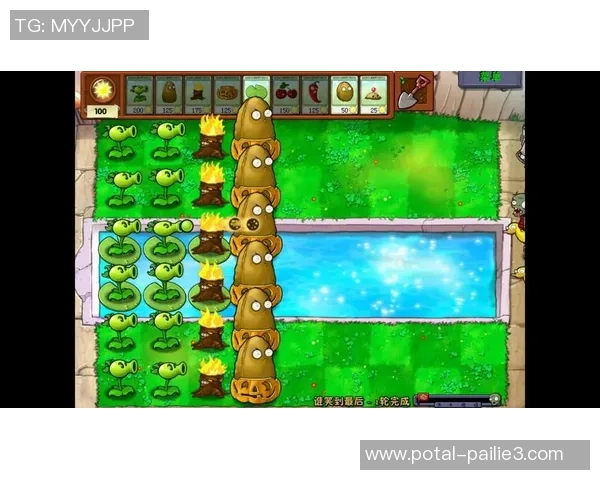 大阪七福神与东京电击的巅峰对决谁能笑到最后