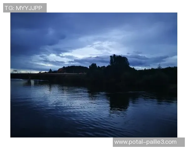 德国21对捷克21精彩对决回顾及赛后分析展望未来发展